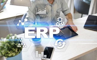 企业如何选ERP软件获最高投资回报率